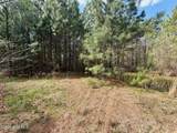 0 Black Mingle Road - Photo 21