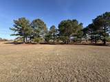 1033 Marks Walden Road - Photo 22