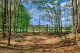2146 Thomson Highway - Photo 47