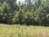1419 Mable Spaulding Road - Photo 2