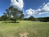 4152 Big Oak Drive - Photo 5