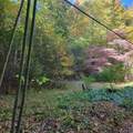 3.38 Long Creek - Photo 12