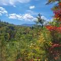3.38 Long Creek - Photo 2
