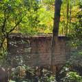 3.38 Long Creek - Photo 3