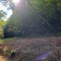3.38 Long Creek - Photo 5