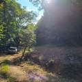 3.38 Long Creek - Photo 6