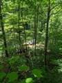 3.38 Long Creek - Photo 7