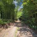 3.38 Long Creek - Photo 9