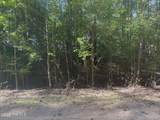 Lot 51 A Palomino Road - Photo 4