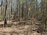 57 Eagle Nest Trail - Photo 19