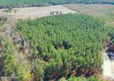57 Eagle Nest Trail - Photo 8