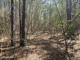 57 Eagle Nest Trail - Photo 15