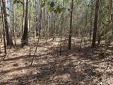 57 Eagle Nest Trail - Photo 16