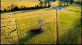 Lot 244 Willet Way - Photo 3