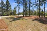 834 Winston Pines Drive - Photo 10