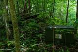 Lot Off Buck Naked Road - Photo 10