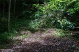 Lot Off Buck Naked Road - Photo 11