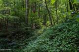 Lot Off Buck Naked Road - Photo 12