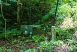 Lot Off Buck Naked Road - Photo 14
