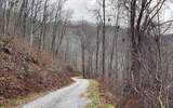 Lot Off Buck Naked Road - Photo 22