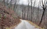 Lot Off Buck Naked Road - Photo 23