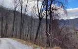 Lot Off Buck Naked Road - Photo 24