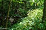 Lot Off Buck Naked Road - Photo 8