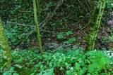 Lot Off Buck Naked Road - Photo 9