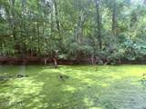 Lt 284-288 Near 250 Waccamaw Sh Road - Photo 8