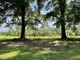 Tbd Roberdel School Road - Photo 14