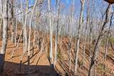 87 Tuscarora Trail - Photo 39
