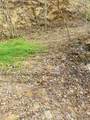 26 Hidden Falls Trail - Photo 11