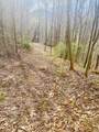 26 Hidden Falls Trail - Photo 12