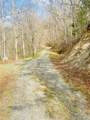 26 Hidden Falls Trail - Photo 13