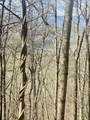26 Hidden Falls Trail - Photo 4