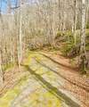 26 Hidden Falls Trail - Photo 7