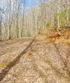 26 Hidden Falls Trail - Photo 9