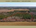 19.3 Acres Ga-305 - Photo 1