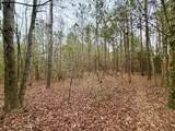 19.3 Acres Ga-305 - Photo 10
