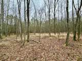 19.3 Acres Ga-305 - Photo 11