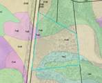 19.3 Acres Ga-305 - Photo 14