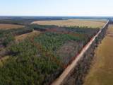 19.3 Acres Ga-305 - Photo 4