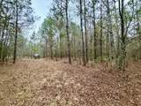 19.3 Acres Ga-305 - Photo 7