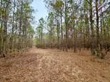 19.3 Acres Ga-305 - Photo 8