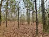 19.3 Acres Ga-305 - Photo 9