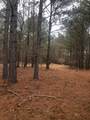 4.17 Acres Starr Hinson Road - Photo 11
