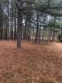 4.17 Acres Starr Hinson Road - Photo 12