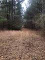 4.17 Acres Starr Hinson Road - Photo 13