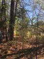 4.17 Acres Starr Hinson Road - Photo 14