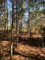 4.17 Acres Starr Hinson Road - Photo 15